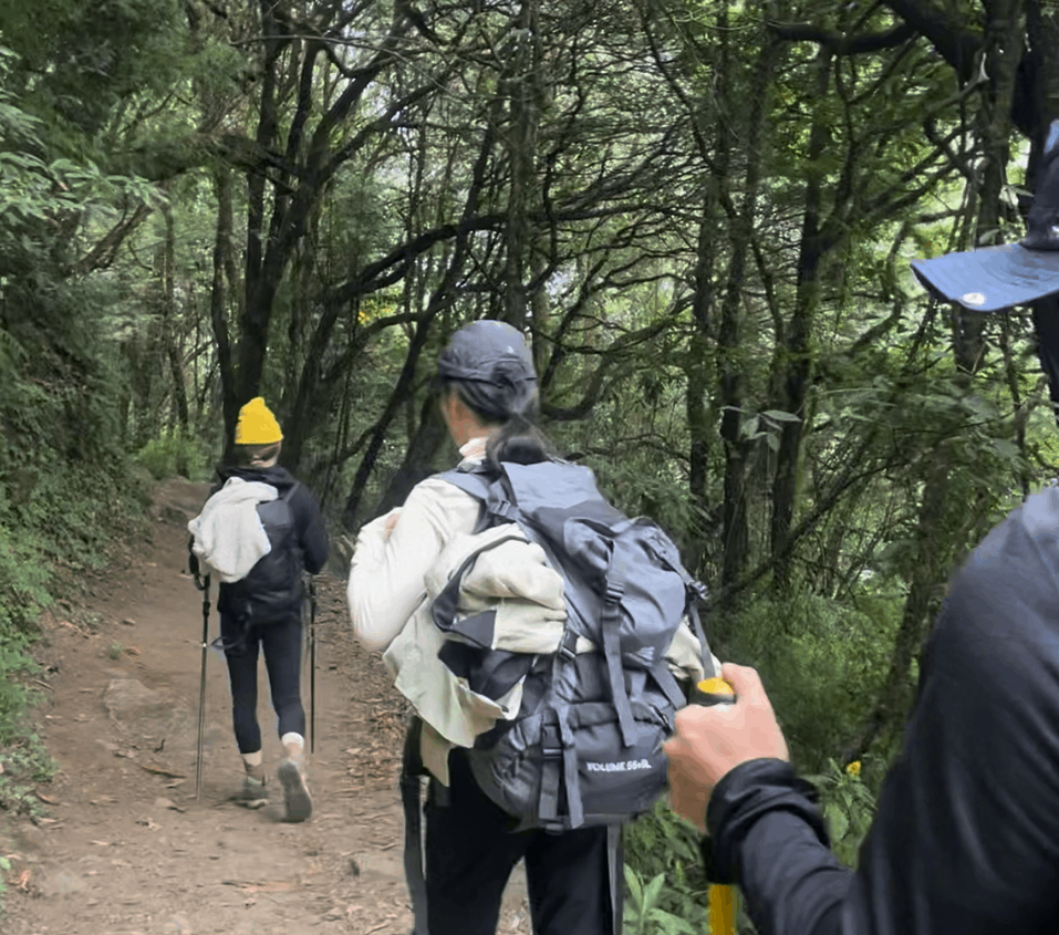 Trekker walking through lush alpine forest on the way to Annapurna Base Camp